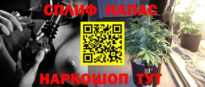 ешки Сланцы