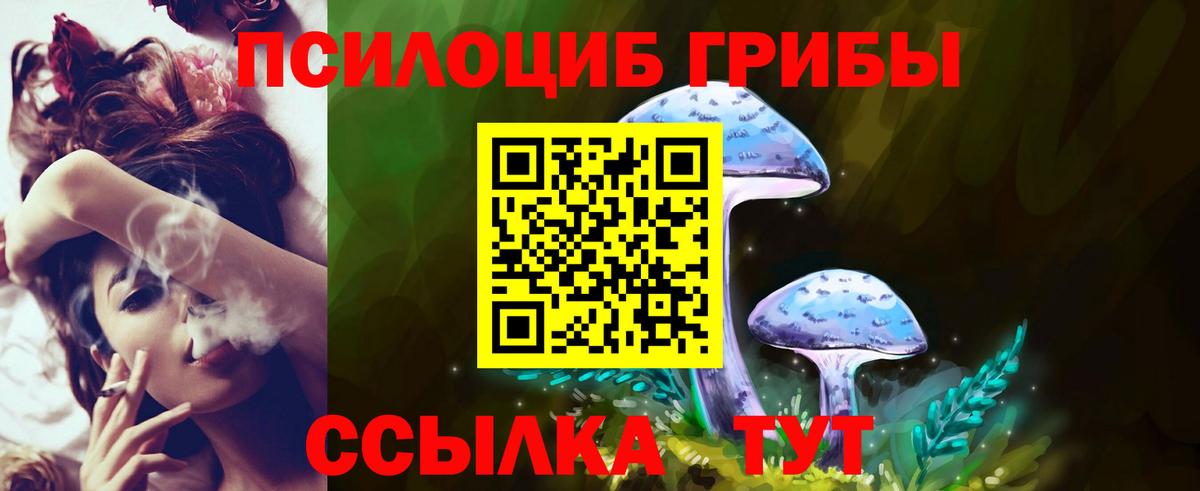 Чусовой  Галлюциногенные грибы ЛСД  Вход с VPN 